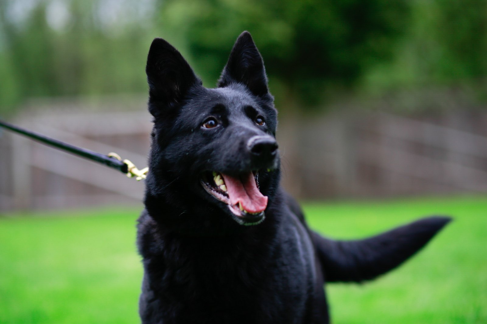 LRM_EXPORT_20170506_211810