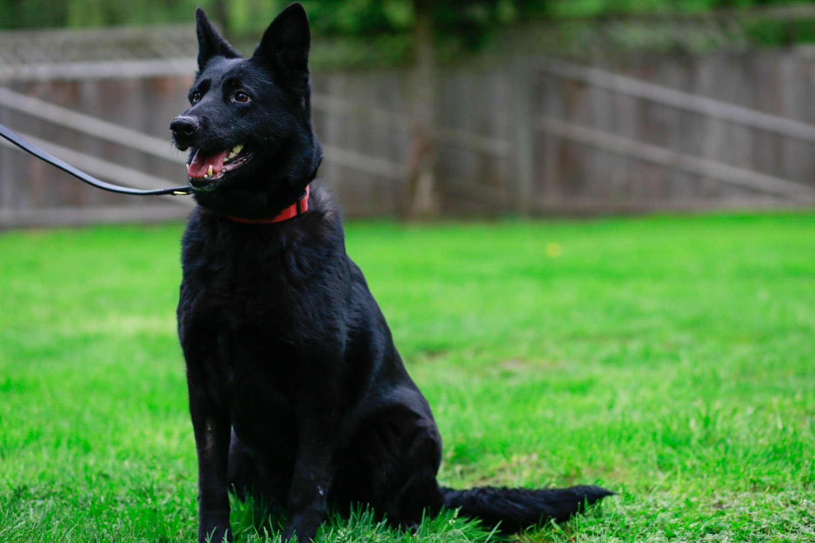 LRM_EXPORT_20170506_211900