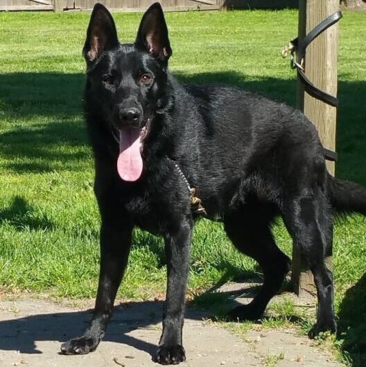 495271391_3586150885020044_676017436944792248_n