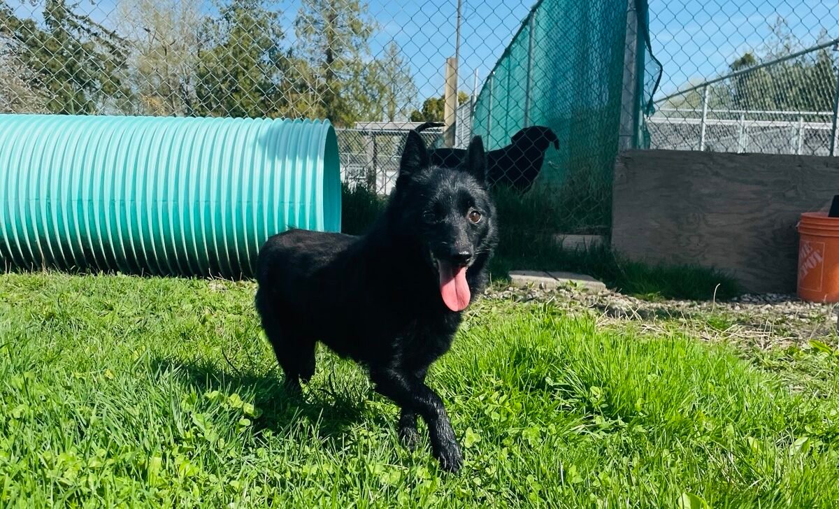 Lucy 2