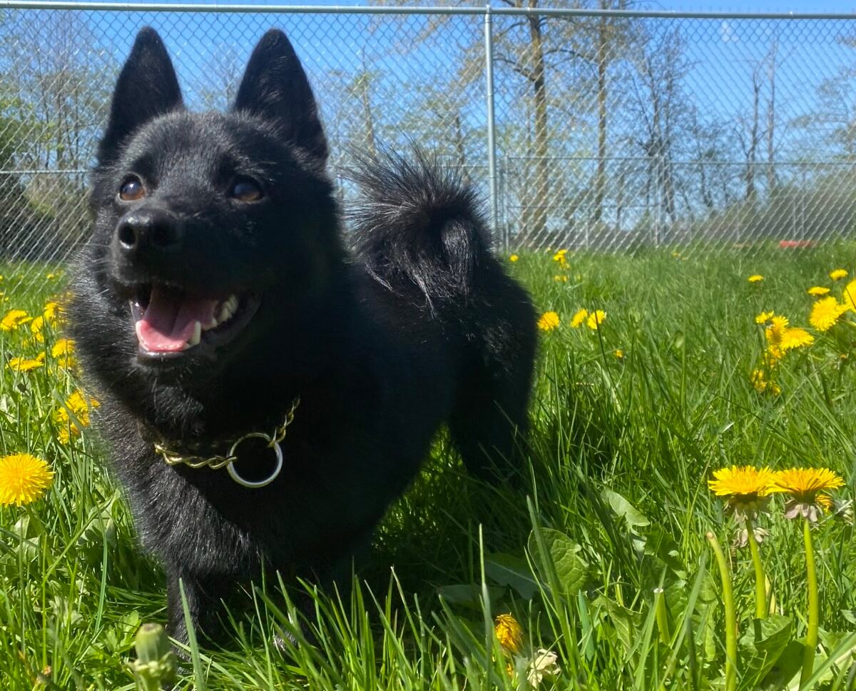 Lucy